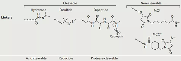 ADC-藥物的連接子.png ADC-藥物的連接子.png
