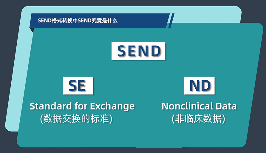 SEND格式轉換中的SEND究竟是什么？