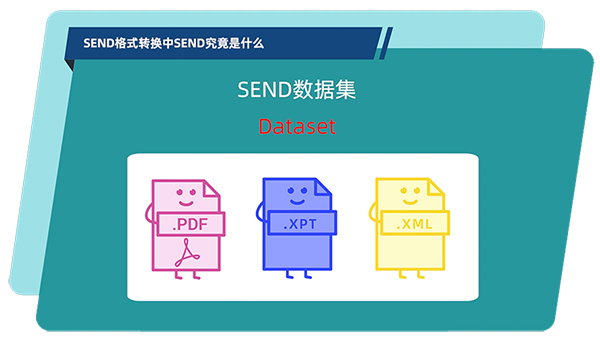 SEND數(shù)據(jù)集的構成.jpg