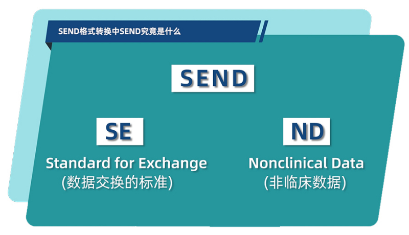 SEND格式轉換中的SEND究竟是什么.jpg