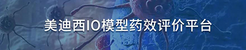 美迪西IO模型藥效評價平臺.jpg 美迪西IO模型藥效評價平臺.jpg