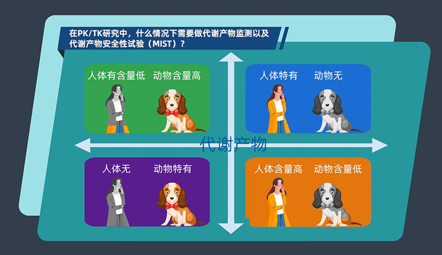在PK-TK研究中，什么情況下需要做代謝產物監測以及代謝產物安全性試驗（MIST）