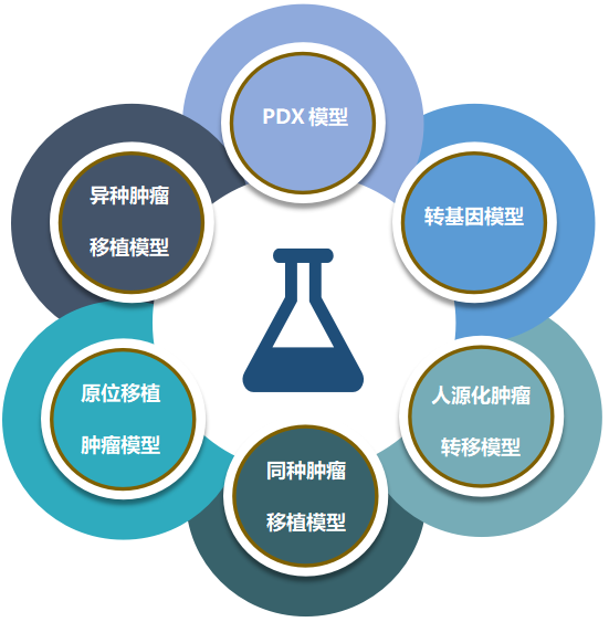 美迪西致力于為客戶提供成熟的評估ADC體內(nèi)藥效的腫瘤模型.png 美迪西致力于為客戶提供成熟的評估ADC體內(nèi)藥效的腫瘤模型.png