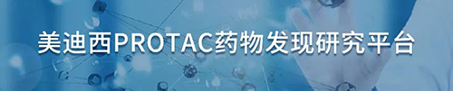 美迪西PROTAC藥物發(fā)現(xiàn)研究平臺.png 美迪西PROTAC藥物發(fā)現(xiàn)研究平臺.png
