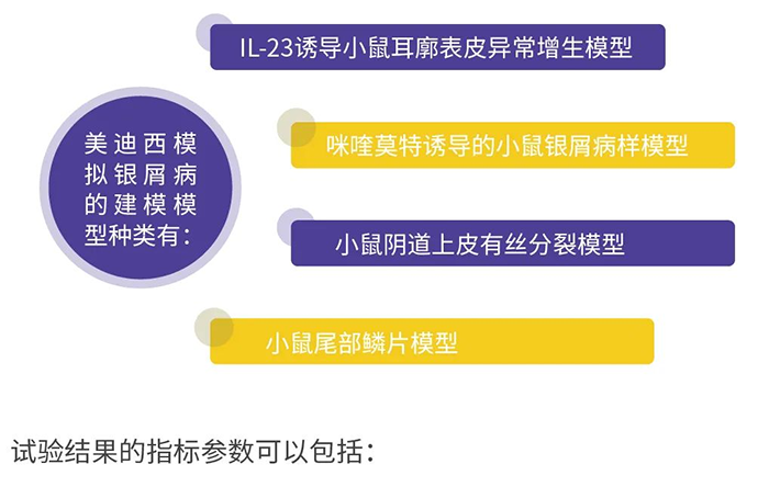 美迪西模擬銀屑病的建模模型.png 美迪西模擬銀屑病的建模模型.png