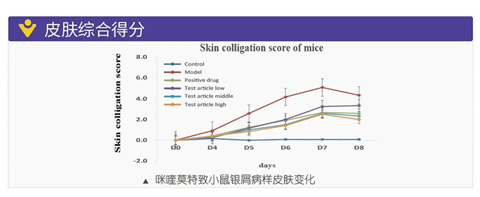 美迪西模擬銀屑病的建模模型-皮膚綜合得分.png 美迪西模擬銀屑病的建模模型-皮膚綜合得分.png