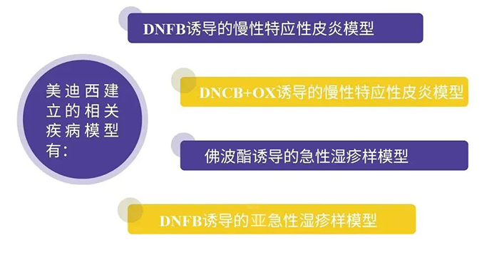 美迪西建立的特應性皮炎模型.png 美迪西建立的特應性皮炎模型.png