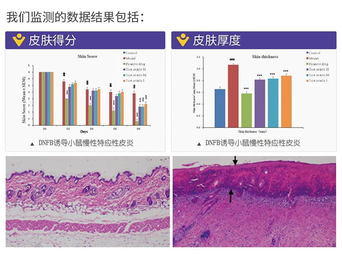 美迪西監測的數據結果.png 美迪西監測的數據結果.png