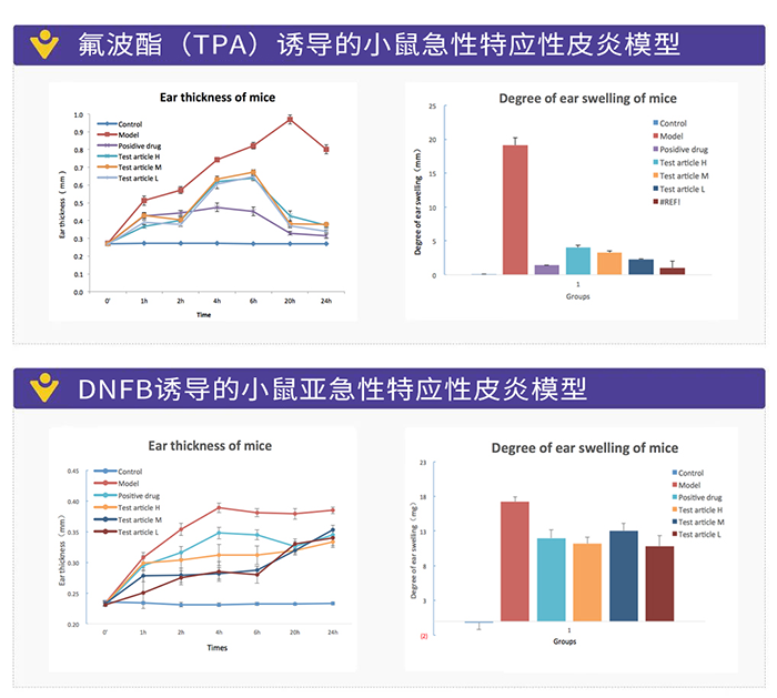 DNFB誘導的小鼠亞急性特應性皮炎模型.png DNFB誘導的小鼠亞急性特應性皮炎模型.png