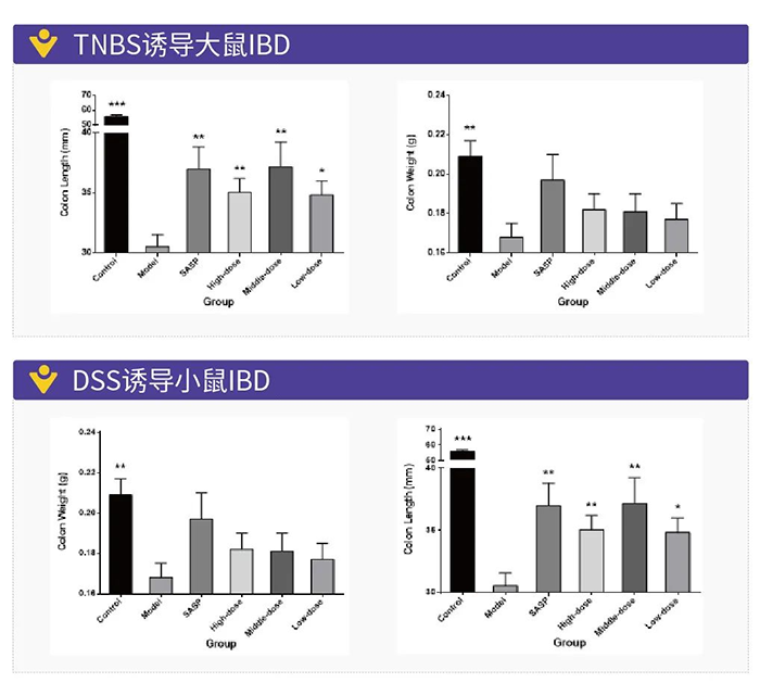 TNBS誘導的大鼠IBD和DSS誘導的小鼠IBD.png TNBS誘導的大鼠IBD和DSS誘導的小鼠IBD.png