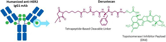 Trastuzumab-deruxtecan-(DS-8201)-結(jié)構(gòu).jpg
