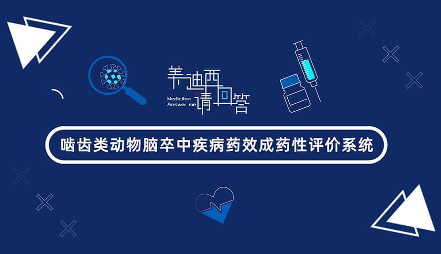 嚙齒類動物腦卒中疾病藥效成藥性評價系統