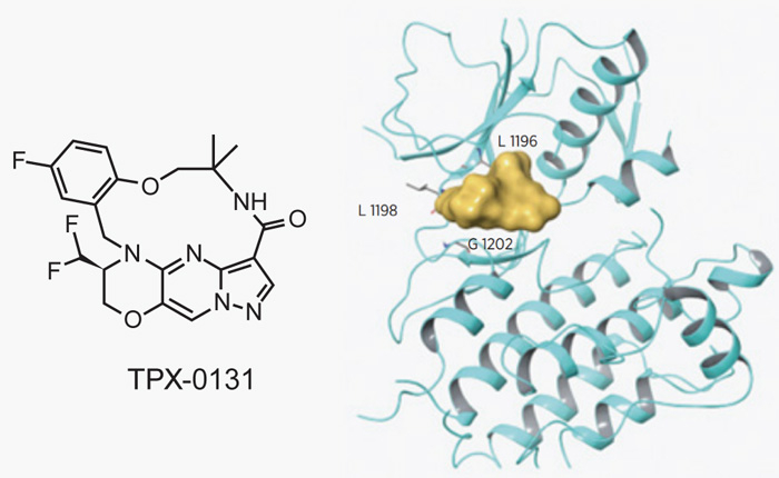 TPX-0131的結(jié)構(gòu)設(shè)計(jì).jpg TPX-0131的結(jié)構(gòu)設(shè)計(jì).jpg