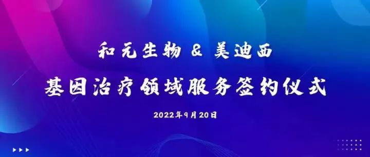 和元生物與美迪西基因治療領(lǐng)域服務(wù)簽約儀式.jpg 和元生物與美迪西基因治療領(lǐng)域服務(wù)簽約儀式.jpg