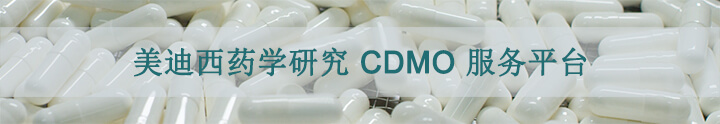美迪西藥學研究CDMO服務平臺.jpg