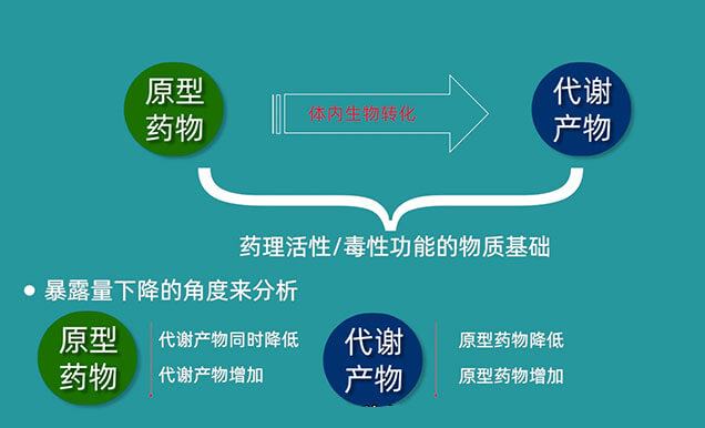 為何藥物系統暴露量AUC在給藥中后期會突然降低.jpg