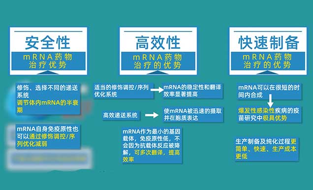 mRNA藥物治療的優(yōu)勢有哪些.jpg
