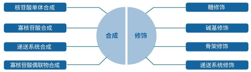 美迪西核酸藥物研發服務平臺.jpg
