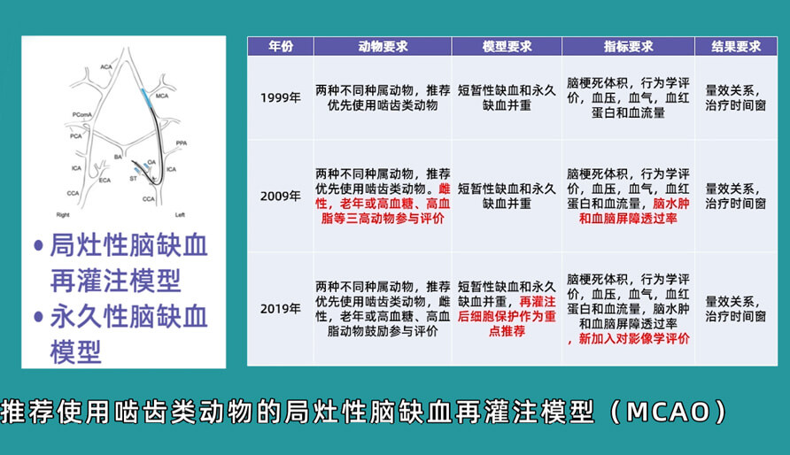 袁云云博士：嚙齒類動物腦卒中疾病藥效成藥性評價系統（2）.jpg