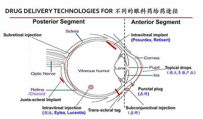 【內(nèi)附回放+下半場預約】美迪西眼科藥物專題研討會上半場精彩回顧