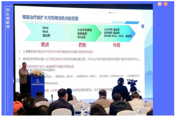 美迪西小核酸和抗體特邀專家劉東旭教授.jpg