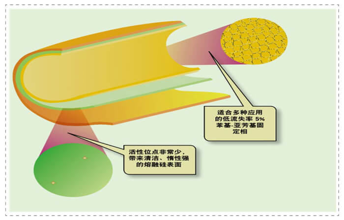 圖3-管壁涂漬開口柱內表面未完全屏蔽的活性位點.jpg