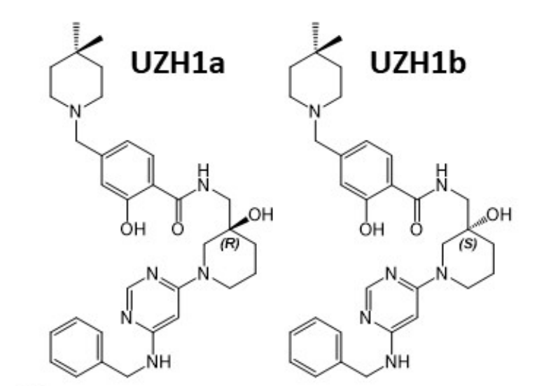 研究人員報告了一種具有細胞滲透性的選擇性METTL3納摩爾抑制劑UZH1a，作者感謝美迪西合成了UZH1a和UZH1b