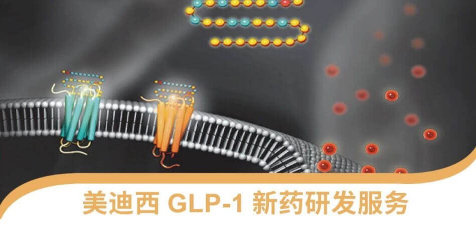 “GLP-1”新藥研發(fā)服務(wù)平臺.jpg