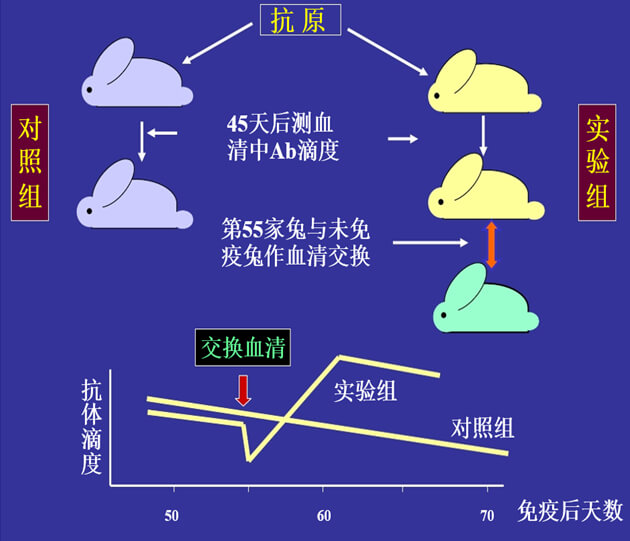 Figure-1：機(jī)體對抗體濃度變化的感知與反饋性自我調(diào)節(jié).jpg