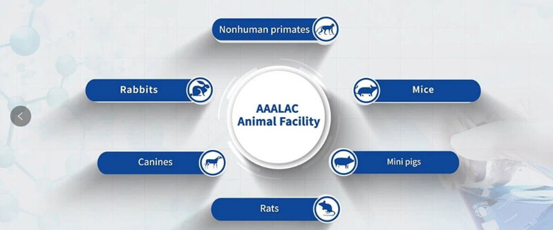 美迪西臨床前研究實驗室通過國際實驗動物評估和認可（AAALAC）.jpg