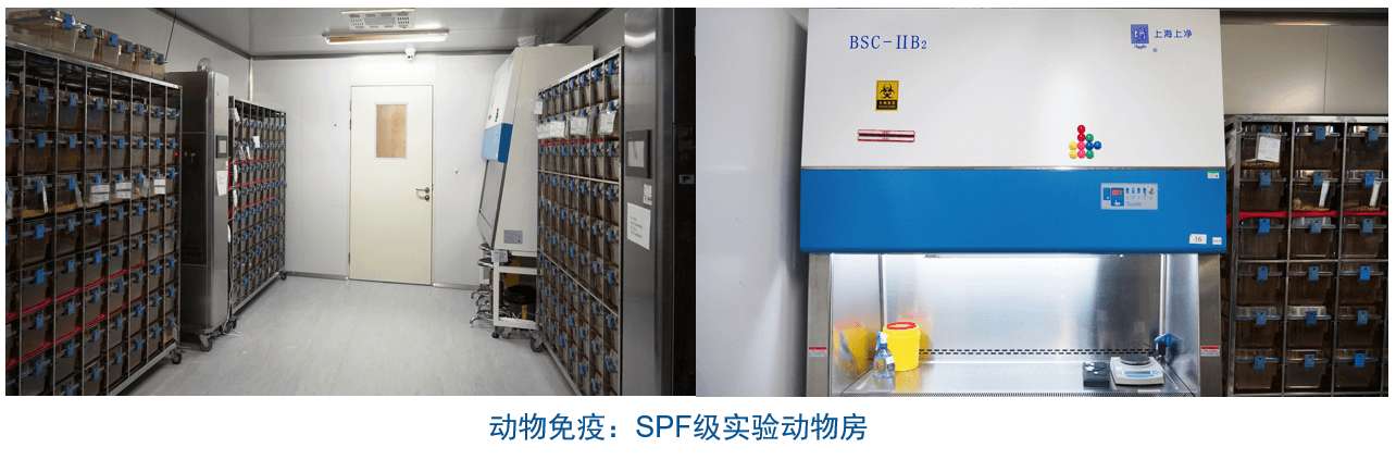 美迪西雜交瘤技術平臺設備-動物免疫SPF級實驗動物房