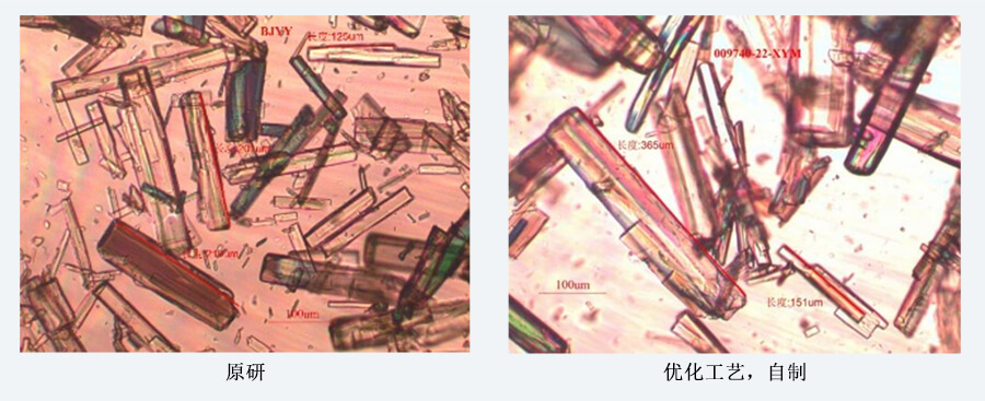 04案例分享-結晶工藝開發（制備結晶態）.jpg