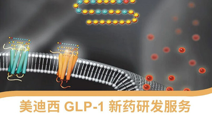 glp-1 新藥研發(fā)技術服務平臺.jpg