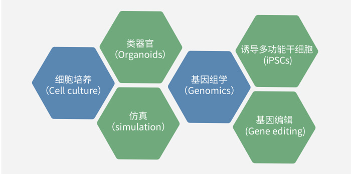 六大技術(shù)板塊已上線，持續(xù)升級(jí)中.jpg