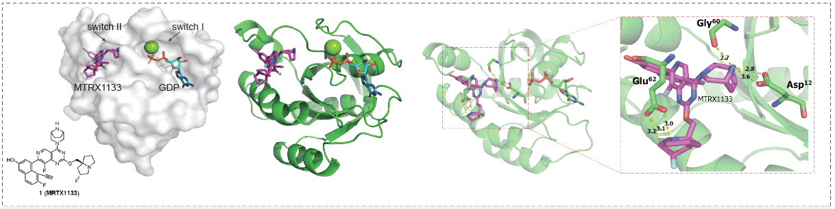 與GDP結(jié)合的KRASG12D與MRTX1133的共晶結(jié)構(gòu).png