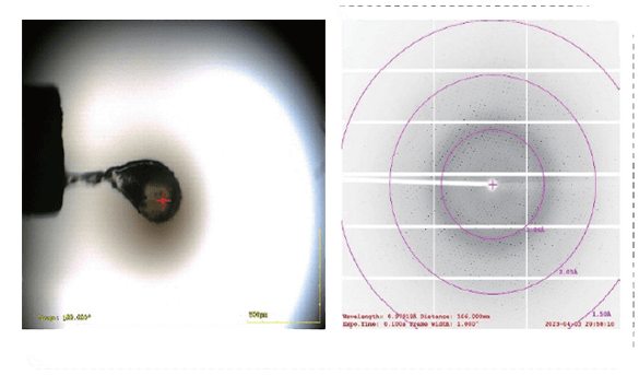 KRASG12D的X射線衍射數(shù)據(jù).png