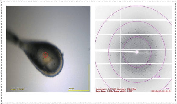 共晶的X射線衍射數(shù)據(jù).png
