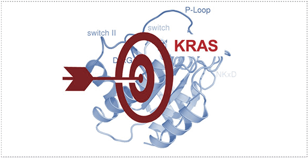 靶向不可成藥靶點(diǎn)KRAS.png 靶向不可成藥靶點(diǎn)KRAS.png