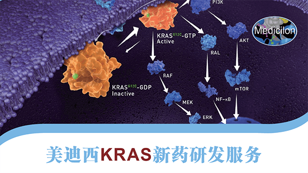 KRAS新藥研發服務 KRAS新藥研發服務