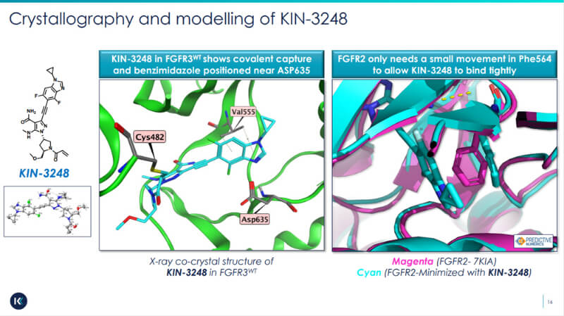 圖源：KINNATE-BIOPHARMA官網(wǎng)資料.jpg