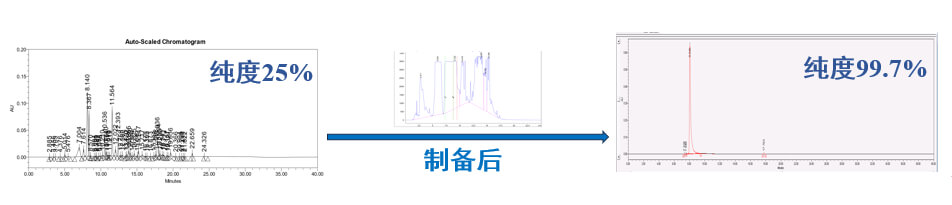 案例一：仿制藥發補：大極性雜質制備.jpg