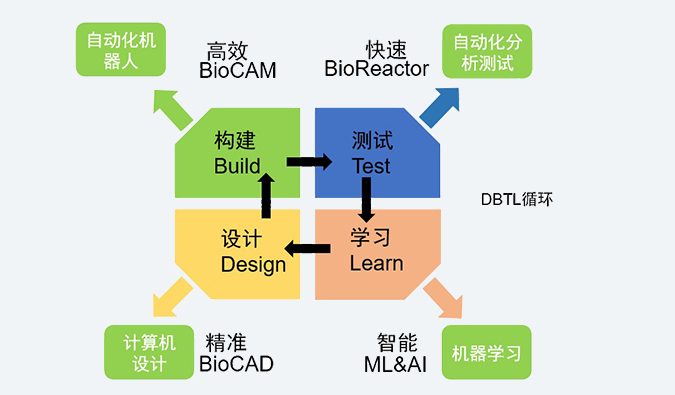 合成生物學服務平臺.jpg