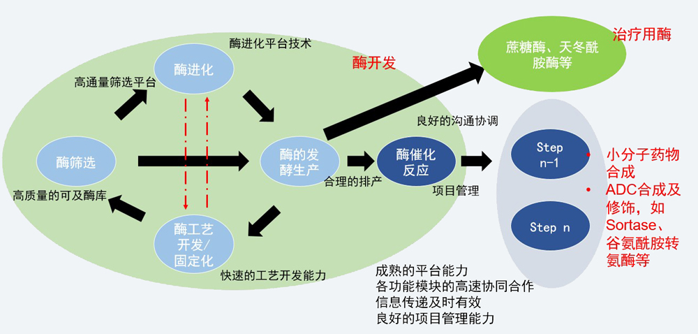 酶催化服務(wù)平臺(tái).jpg