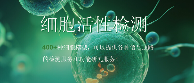 美迪西細胞活性檢測.jpg