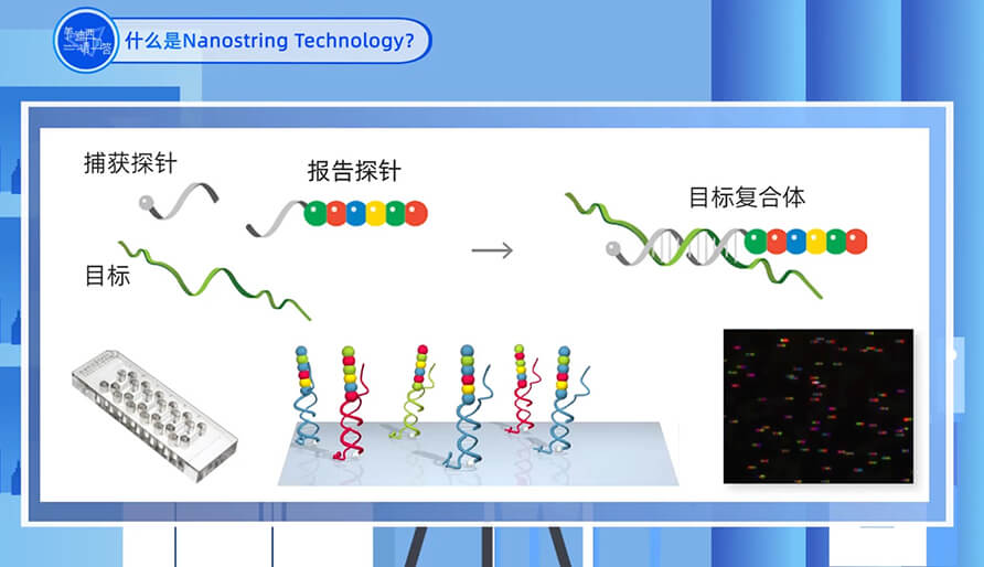 什么是Nanostring 技術？