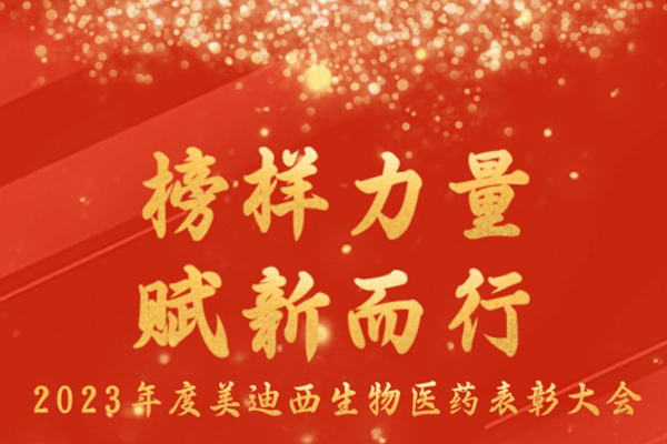 美迪西2023年表彰大會(huì).jpg