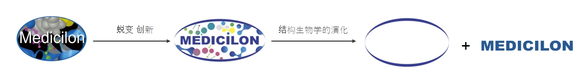 橢圓形作為自然界的完美形態，象征著美迪西在適應環境變化中不斷演化