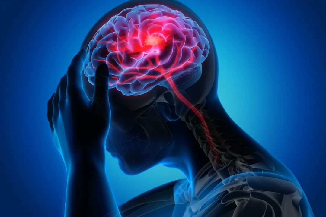 美迪西助力 | 祝賀熙源安健BR005中國I期臨床試驗完成首例健康受試者給藥