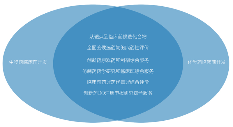 美迪西生物藥物研發和化學藥物研發.jpg