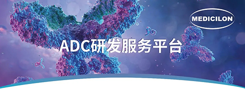 ADC臨床前研究.jpg